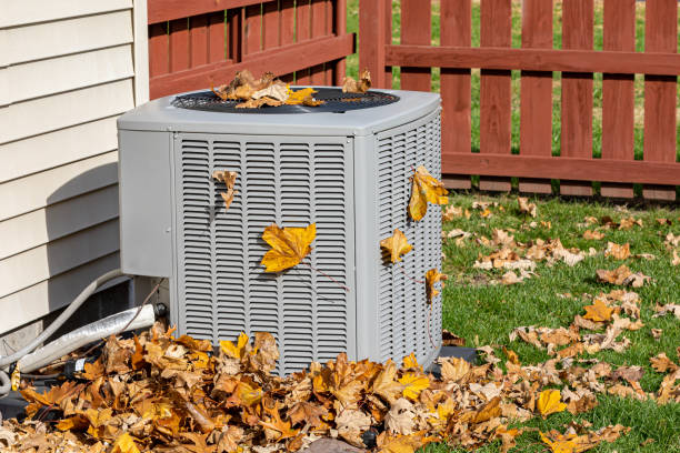Best HVAC tune-up services  in Mount Morris, IL
